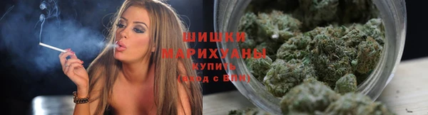 мет Коряжма