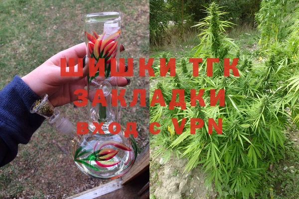 мяу мяу кристалл Корсаков