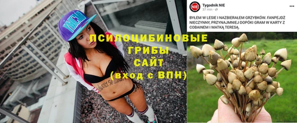 мет Коряжма