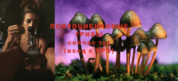 a pvp Костерёво