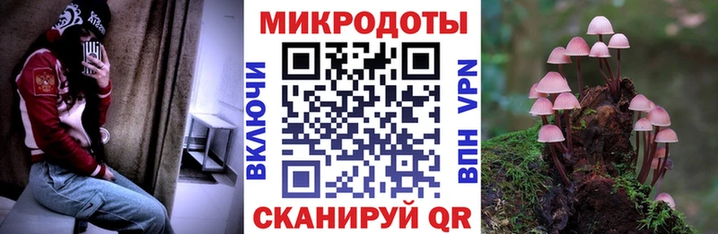 Галлюциногенные грибы мухоморы  Купить закладки  Туймазы 